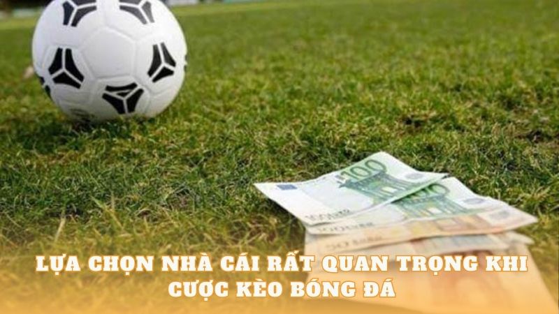 Soi kèo cá cược hiệu quả dựa vào các yếu tố thực tế